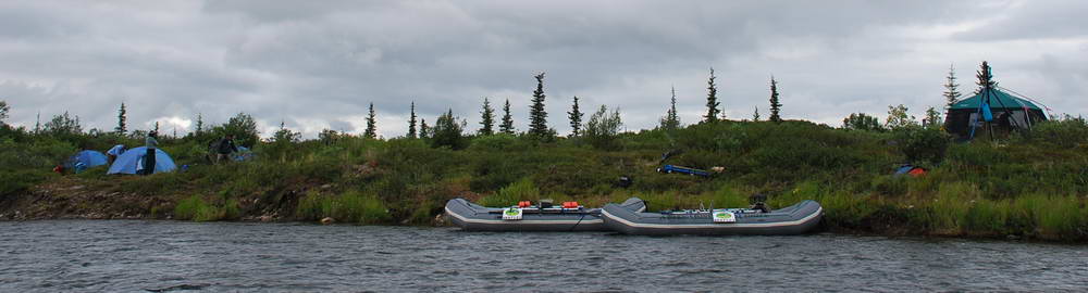 Aljaška - druhy lovených ryb - zahl-233.jpg
